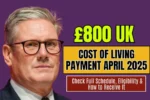£800 UK Cost of Living Payment